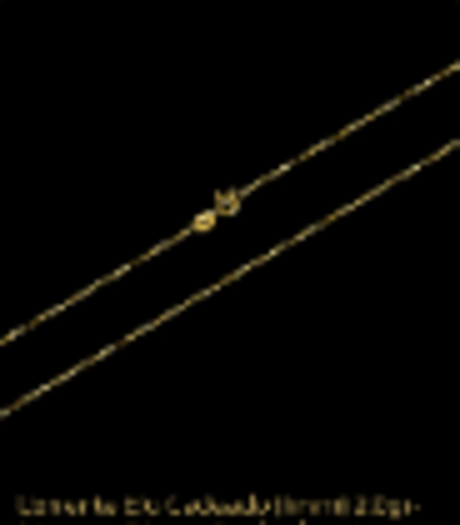 Corrente Cartie Meia Cana 2mm - 70cm